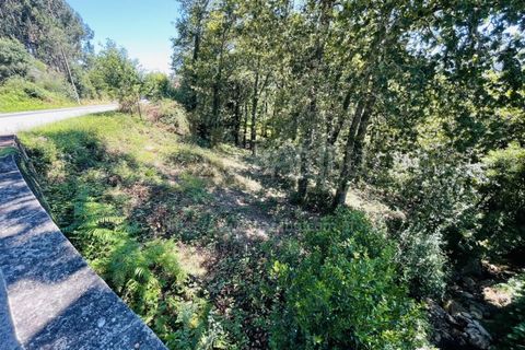 Grond in Venade e Azevedo, Viana do Castelo, Venade e Azevedo - € 36.000 | Ref: B2964 - foto 25