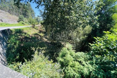 Grond in Venade e Azevedo, Viana do Castelo, Venade e Azevedo - € 36.000 | Ref: B2964 - foto 26