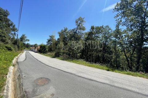 Grond in Venade e Azevedo, Viana do Castelo, Venade e Azevedo - € 36.000 | Ref: B2964 - foto 28