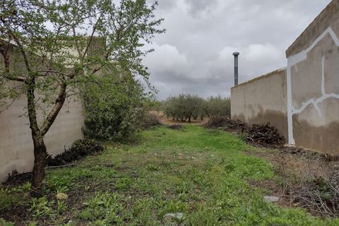 Helårsgrund i Pinoso, Alicante, Pinoso - € 85.000 | Ref: CF2529 - foto 3
