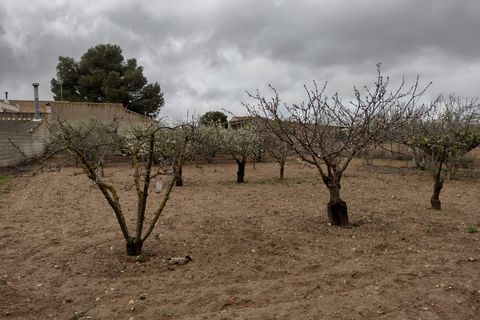 Helårsgrund i Pinoso, Alicante, Pinoso - € 85.000 | Ref: CF2529 - foto 4
