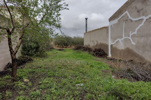 Helårsgrund i Pinoso, Alicante, Pinoso - € 85.000 | Ref: CF2529 - foto 7