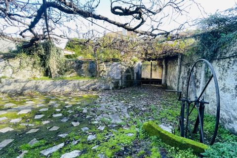 Villa a Caminha, Viana do Castelo, Caminha - € 430.000 | Ref: B3116 - foto 3