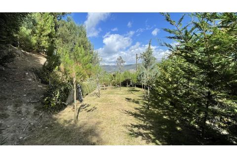 Villa a Caminha, Viana do Castelo, Caminha - € 395.000 | Ref: B2719 - foto 16