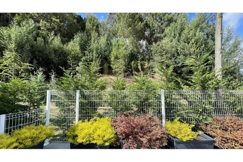 Villa a Caminha, Viana do Castelo, Caminha - € 395.000 | Ref: B2719 - foto 19