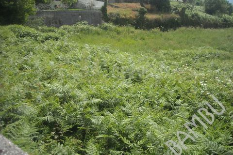 Terra em Valenca, Viana do Castelo, Valenca - € 45.000 | Ref: B0356 - foto 4