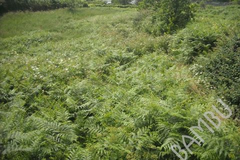 Terra em Valenca, Viana do Castelo, Valenca - € 45.000 | Ref: B0356 - foto 5