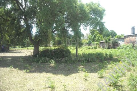 Terra em Valenca, Viana do Castelo, Valenca - € 45.000 | Ref: B0356 - foto 6