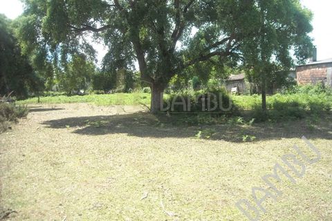 Terra em Valenca, Viana do Castelo, Valenca - € 45.000 | Ref: B0356 - foto 8