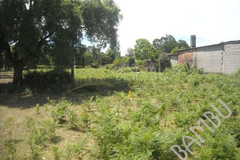 Terra em Valenca, Viana do Castelo, Valenca - € 45.000 | Ref: B0356 - foto 9