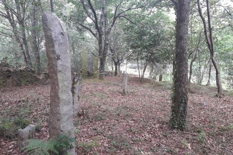 Ruïna a Caminha, Viana do Castelo, Caminha - € 59.500 | Ref: B2880 - foto 5