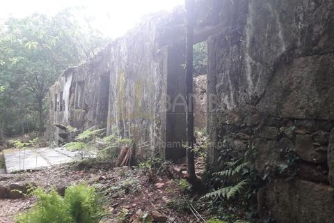 Ruïna a Caminha, Viana do Castelo, Caminha - € 59.500 | Ref: B2880 - foto 6