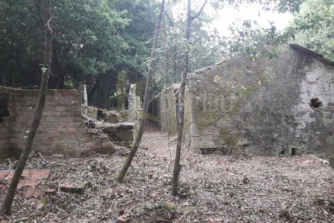 Ruïna a Caminha, Viana do Castelo, Caminha - € 59.500 | Ref: B2880 - foto 8