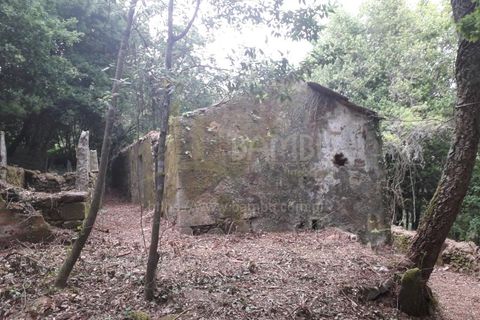 Ruïna a Caminha, Viana do Castelo, Caminha - € 59.500 | Ref: B2880 - foto 10