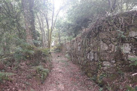 Ruïna a Caminha, Viana do Castelo, Caminha - € 59.500 | Ref: B2880 - foto 11