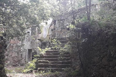 Ruïna a Caminha, Viana do Castelo, Caminha - € 59.500 | Ref: B2880 - foto 12