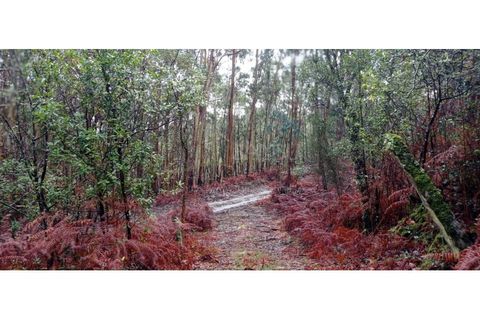 Ruïna a Caminha, Viana do Castelo, Caminha - € 59.500 | Ref: B2880 - foto 15