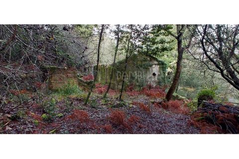 Ruïna a Caminha, Viana do Castelo, Caminha - € 59.500 | Ref: B2880 - foto 16