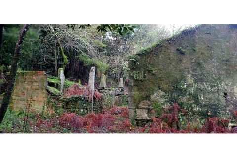 Ruïna a Caminha, Viana do Castelo, Caminha - € 59.500 | Ref: B2880 - foto 21