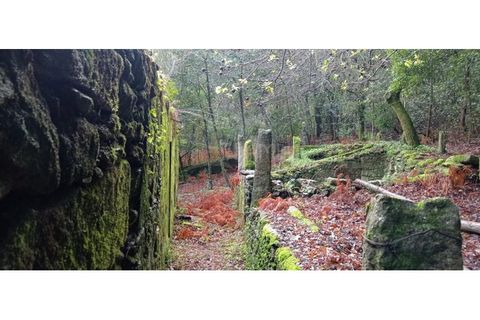 Ruïna a Caminha, Viana do Castelo, Caminha - € 59.500 | Ref: B2880 - foto 23