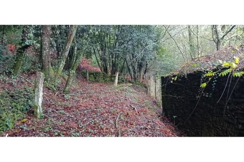 Ruïna a Caminha, Viana do Castelo, Caminha - € 59.500 | Ref: B2880 - foto 25