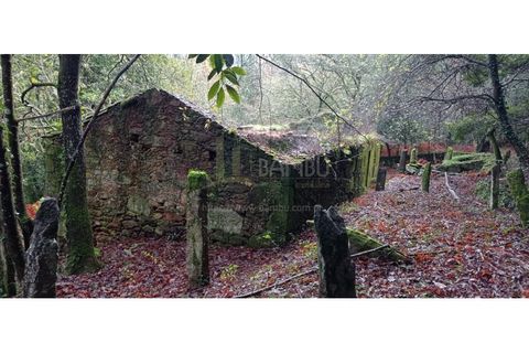 Ruïna a Caminha, Viana do Castelo, Caminha - € 59.500 | Ref: B2880 - foto 27