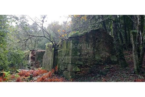Ruïna a Caminha, Viana do Castelo, Caminha - € 59.500 | Ref: B2880 - foto 28