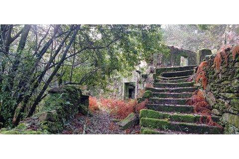 Ruïna a Caminha, Viana do Castelo, Caminha - € 59.500 | Ref: B2880 - foto 30