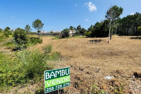 Terra a Caminha, Viana do Castelo, Caminha - € 50.000 | Ref: B3101 - foto 2