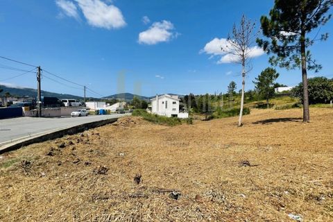 Terra a Caminha, Viana do Castelo, Caminha - € 50.000 | Ref: B3101 - foto 5