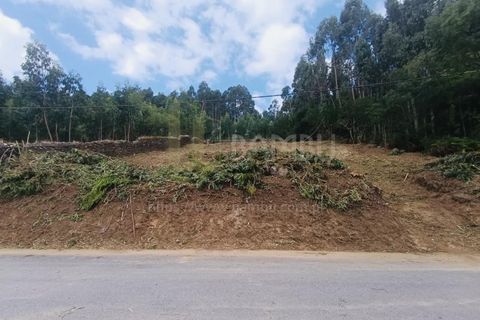 Terra a Caminha, Viana do Castelo, Caminha - € 125.000 | Ref: B3091 - foto 3