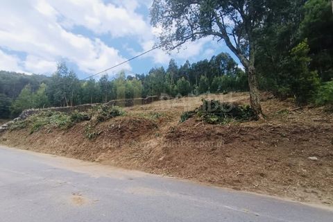 Terra a Caminha, Viana do Castelo, Caminha - € 125.000 | Ref: B3091 - foto 4