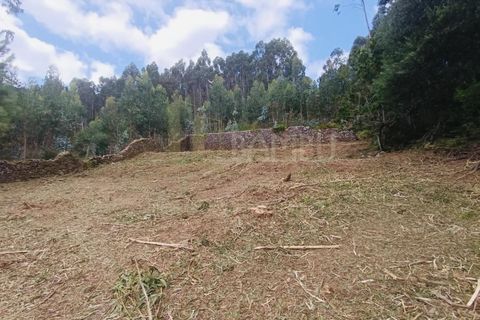 Terra a Caminha, Viana do Castelo, Caminha - € 125.000 | Ref: B3091 - foto 5