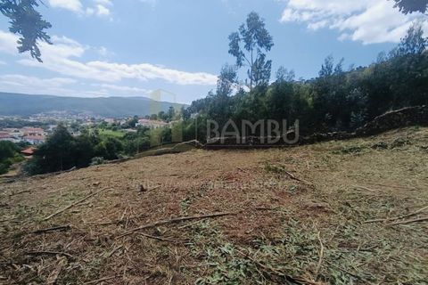 Terra a Caminha, Viana do Castelo, Caminha - € 125.000 | Ref: B3091 - foto 8