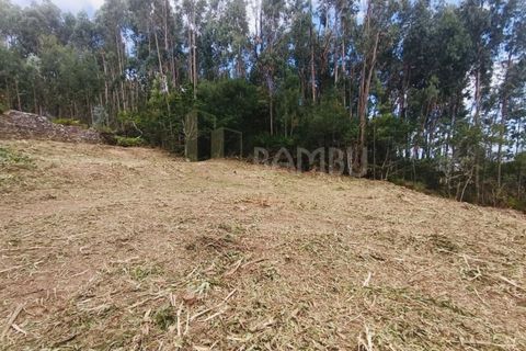 Terra a Caminha, Viana do Castelo, Caminha - € 125.000 | Ref: B3091 - foto 9