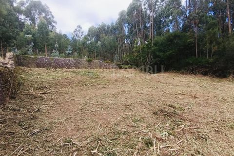Terra a Caminha, Viana do Castelo, Caminha - € 125.000 | Ref: B3091 - foto 10