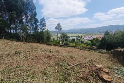 Terra a Caminha, Viana do Castelo, Caminha - € 125.000 | Ref: B3091 - foto 11