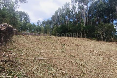 Terra a Caminha, Viana do Castelo, Caminha - € 125.000 | Ref: B3091 - foto 12