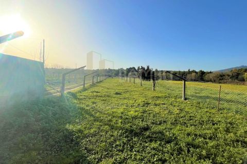 Terra a Caminha, Viana do Castelo, Caminha - € 40.500 | Ref: B2911 - foto 2