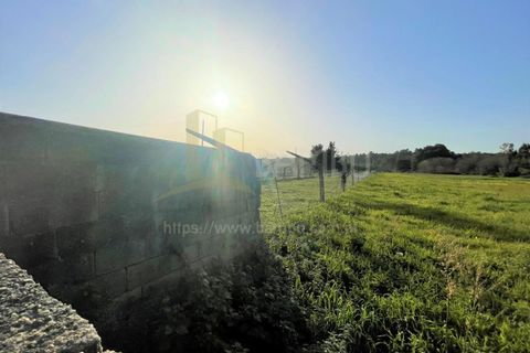 Terra a Caminha, Viana do Castelo, Caminha - € 40.500 | Ref: B2911 - foto 3