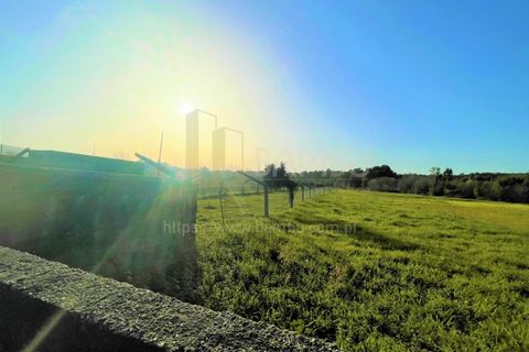 Terra a Caminha, Viana do Castelo, Caminha - € 40.500 | Ref: B2911 - foto 5