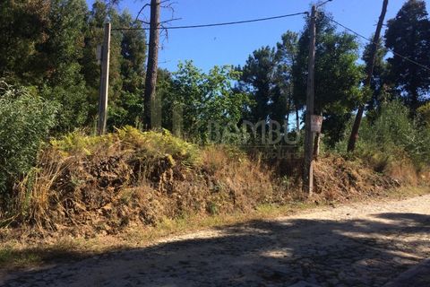 Grond in Venade e Azevedo, Viana do Castelo, Venade e Azevedo - € 80.000 | Ref: B2101 - foto 1