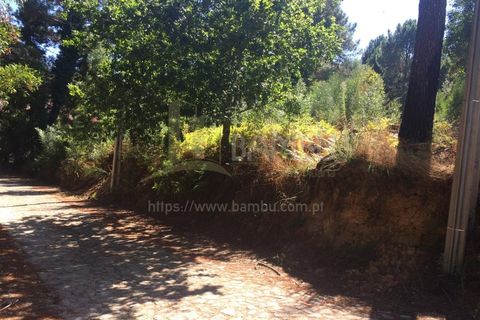 Grond in Venade e Azevedo, Viana do Castelo, Venade e Azevedo - € 80.000 | Ref: B2101 - foto 3