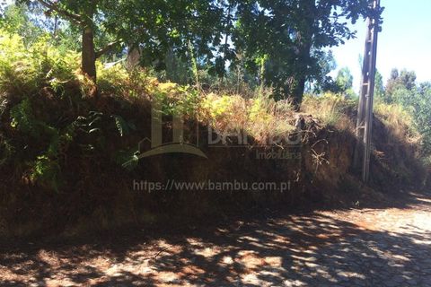 Grond in Venade e Azevedo, Viana do Castelo, Venade e Azevedo - € 80.000 | Ref: B2101 - foto 5