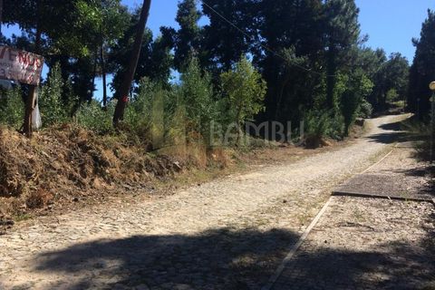 Grond in Venade e Azevedo, Viana do Castelo, Venade e Azevedo - € 80.000 | Ref: B2101 - foto 6