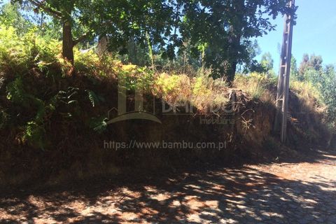 Grond in Venade e Azevedo, Viana do Castelo, Venade e Azevedo - € 80.000 | Ref: B2101 - foto 8