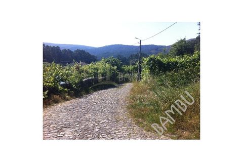 Grond in Venade e Azevedo, Viana do Castelo, Venade e Azevedo - € 50.000 | Ref: B1019 - foto 4