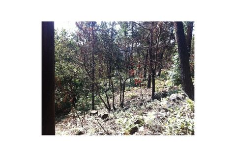 Grond in Venade e Azevedo, Viana do Castelo, Venade e Azevedo - € 50.000 | Ref: B1019 - foto 6