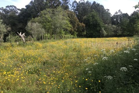 Grond in Valenca, Viana do Castelo, Valenca - € 60.000 | Ref: B2114 - foto 4