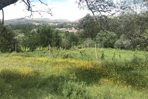 Grond in Valenca, Viana do Castelo, Valenca - € 60.000 | Ref: B2114 - foto 5